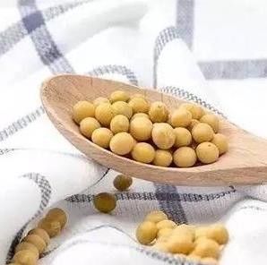 Textile Soybean Protein Fiber 1.5D 38MM For Spinning Or Filling Quilt
