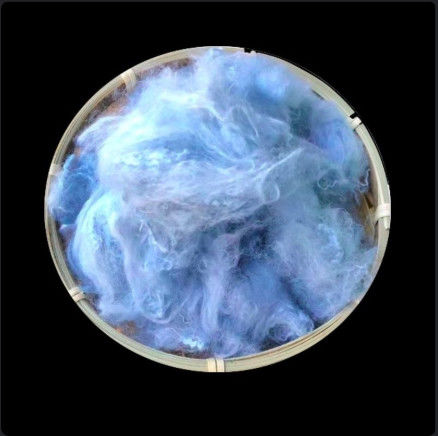 Dope Dyed Recycled Hollow Conjugated Polyester Staple Fiber 15d 64mm